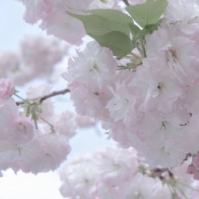 丹江口FurryQQ群介绍